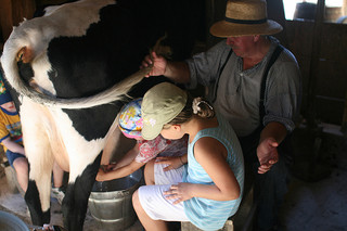 Milking-the-cow320.jpg