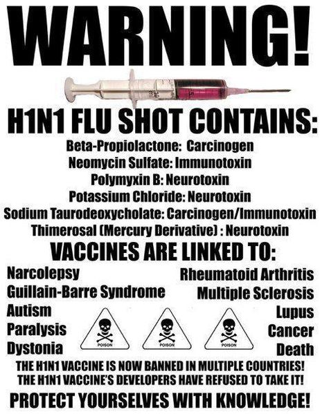 File:H1N1 flu shot.jpg