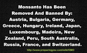 GMOban.jpg