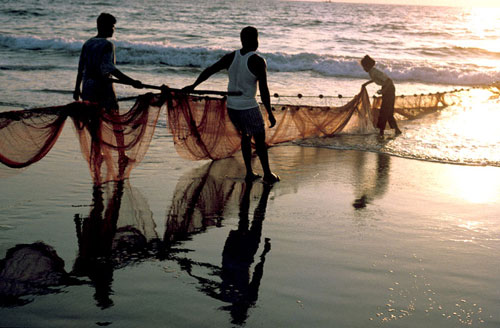 File:Hauling-in-fish-net-Goa.jpg