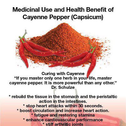 File:Cayenne-pepper.jpg