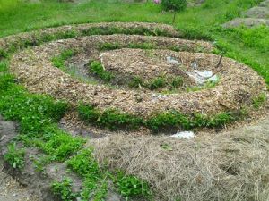 Close-up of spiral bed (not recalling now what's to be planted here).jpg