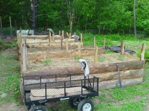 View of finished raised beds and background one still under construction.jpg