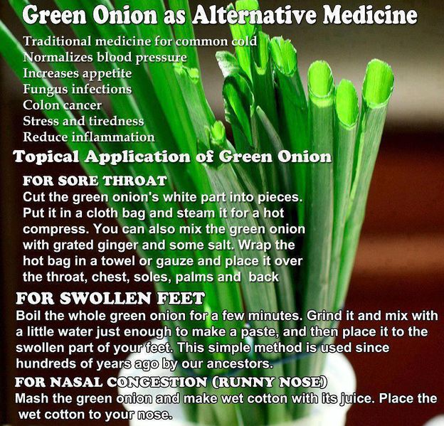 File:Health-green-onions.jpg